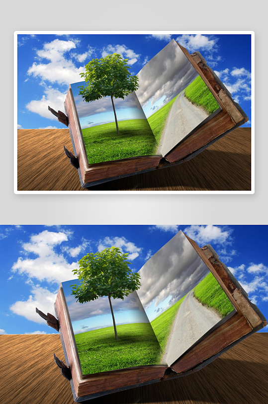 书页中生长的绿树与小径-众图网