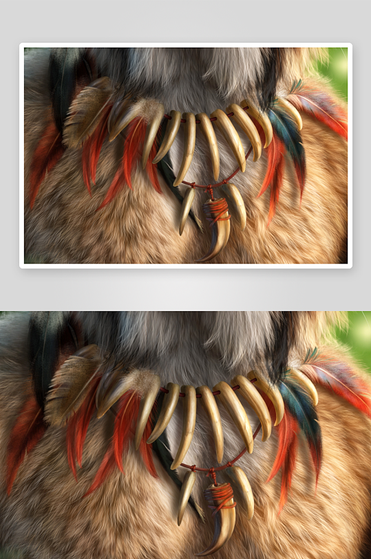 动物佩戴羽毛兽牙饰品特写-众图网