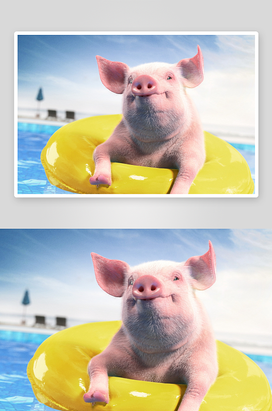 卡通小猪泳圈戏水-众图网