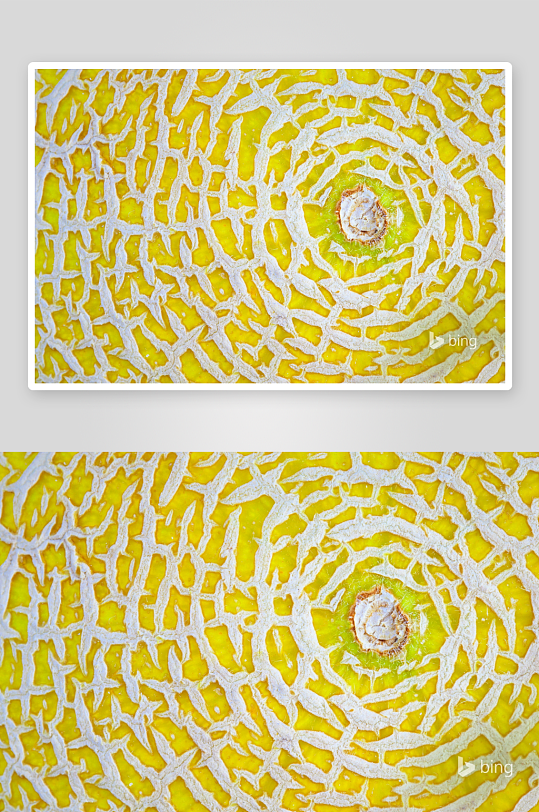 哈密瓜表皮纹理特写-众图网