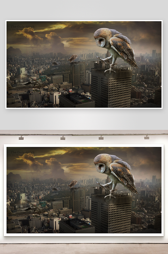 城市上空巨鸮盘旋-众图网