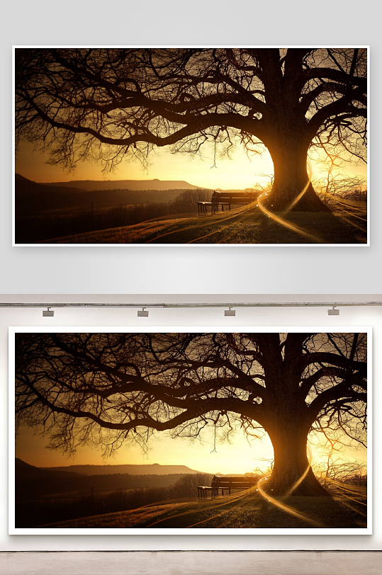 夕阳下大树长椅静谧风景-众图网