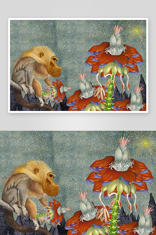 奇幻星空下的猴与奇花-众图网