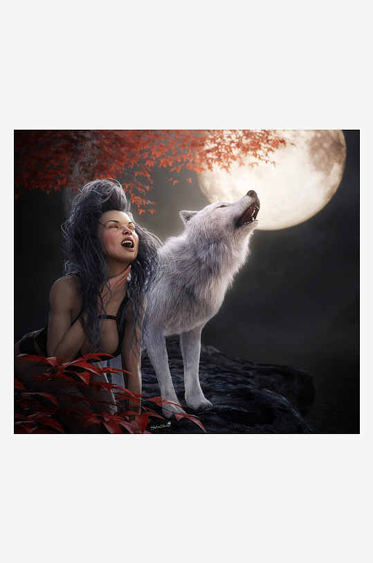 月夜狼嚎女子与白狼同框-众图网