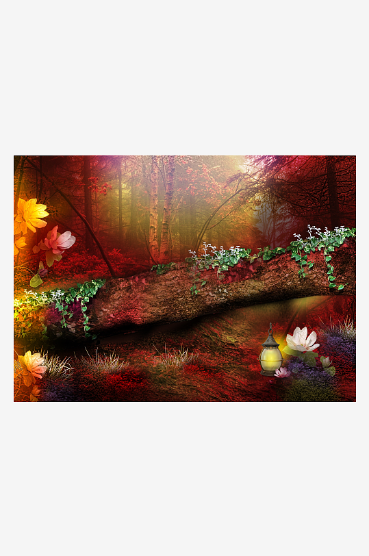 梦幻森林光影中的花与灯-众图网