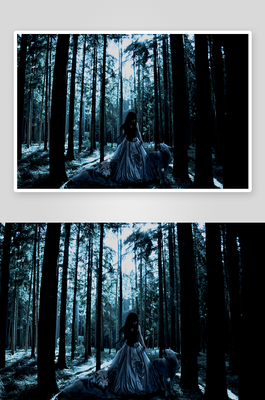 森林中女子与狼的神秘邂逅-众图网