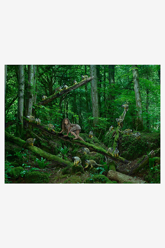 森林中女孩与猴子和谐共处-众图网