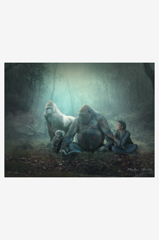 森林中人与大猩猩的神秘邂逅-众图网