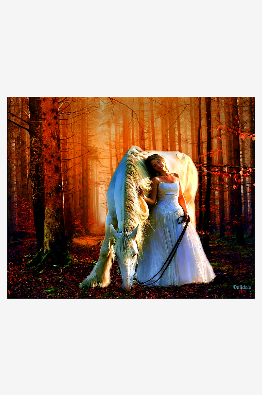 森林中白衣女子与白马相拥-众图网