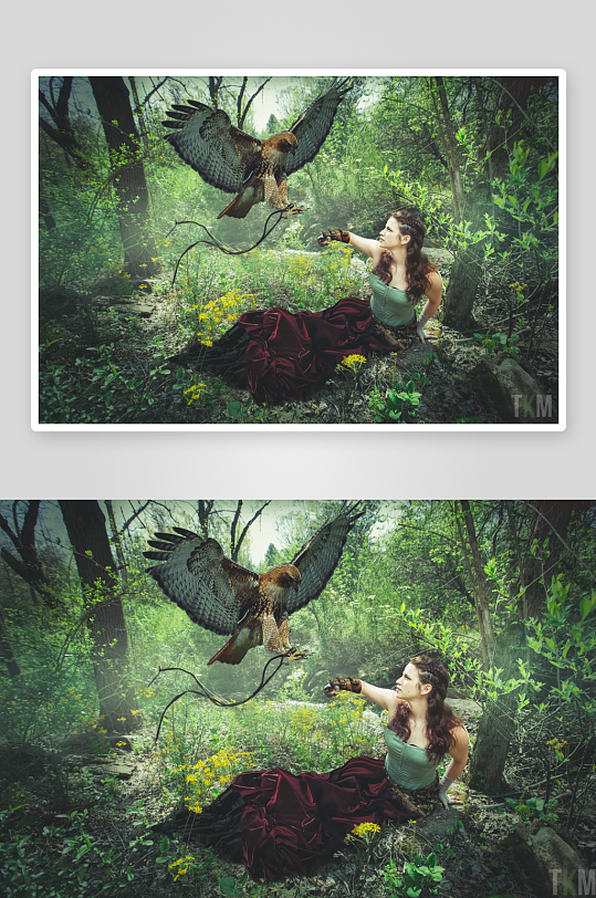 森林中女子与鹰互动的奇幻场景-众图网