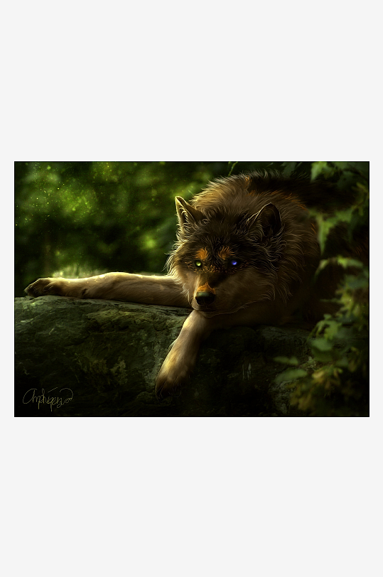 森林中异色瞳狼静卧岩石-众图网