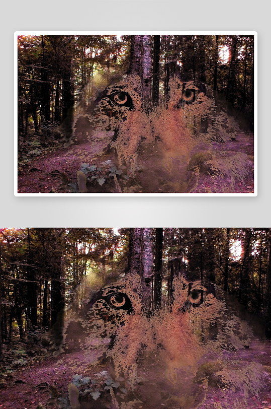 森林中的狼脸艺术图像-众图网