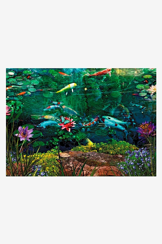 池塘锦鲤游动荷花绽放-众图网