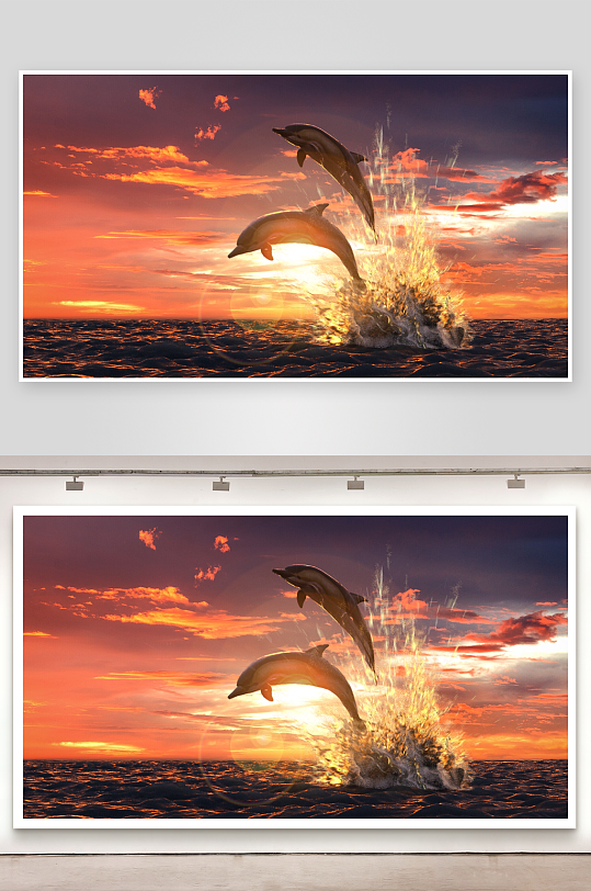 海豚跃出水面捕捉瞬间-众图网