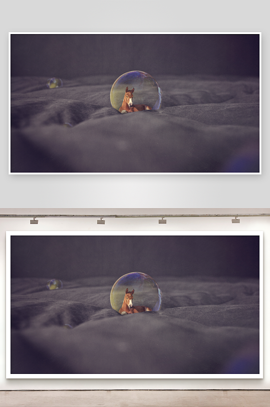 泡泡中的小马玩偶静物摄影-众图网