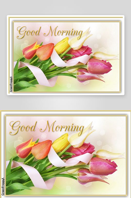 清晨花束祝早安照片摄影-众图网