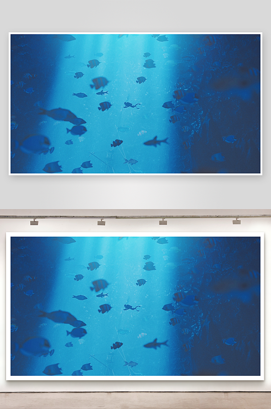 海底鱼群游动潜水员探索-众图网