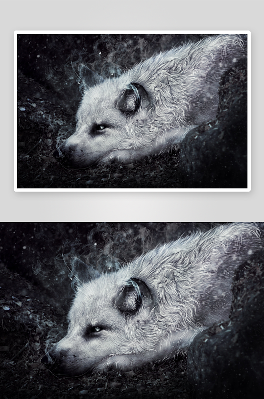 灰狼静卧烟雾缭绕神秘氛围-众图网