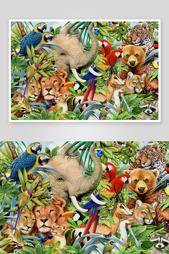 热带雨林动物大集合-众图网