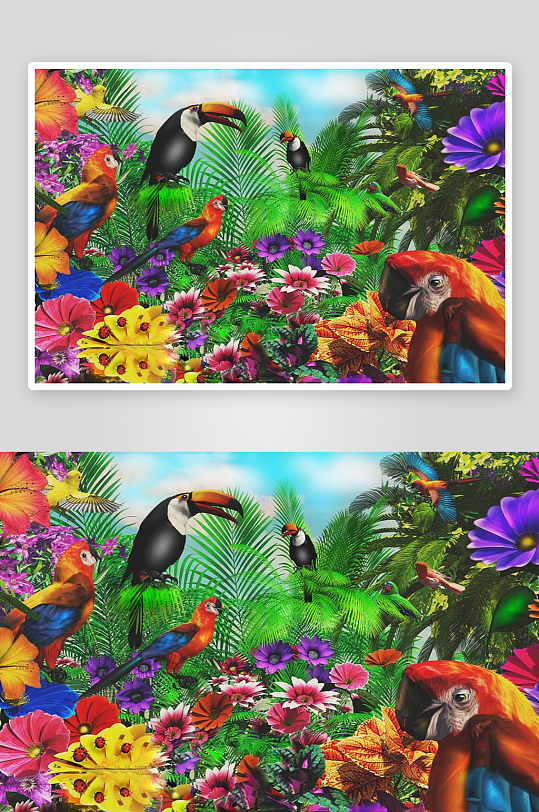 热带雨林鹦鹉花卉盛景-众图网
