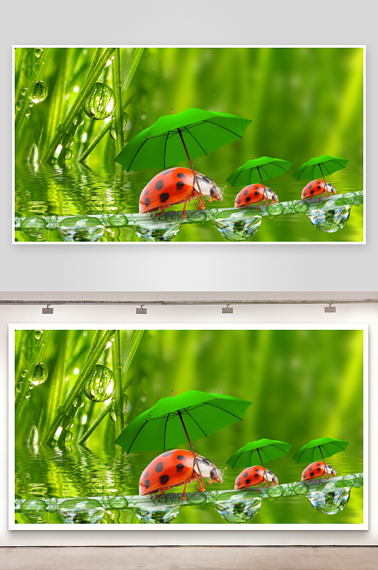 瓢虫撑伞雨中漫步-众图网