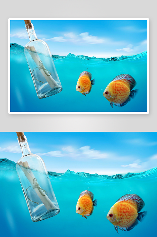 瓶中信与热带鱼共游海底-众图网