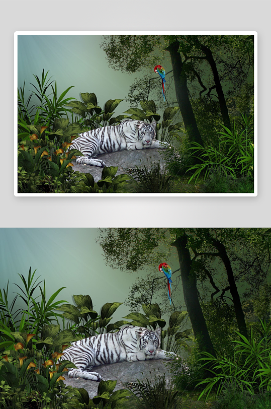 白虎静卧丛林鹦鹉栖息-众图网