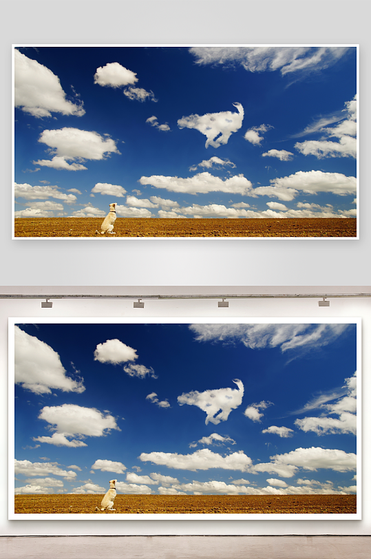 狗望云朵似动物的田野景象-众图网