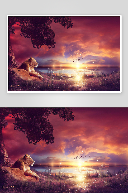 狮子静卧树下观日落-众图网