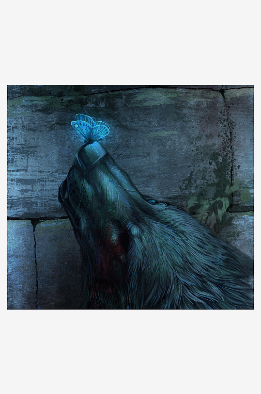 狼头蝴蝶静栖石壁-众图网