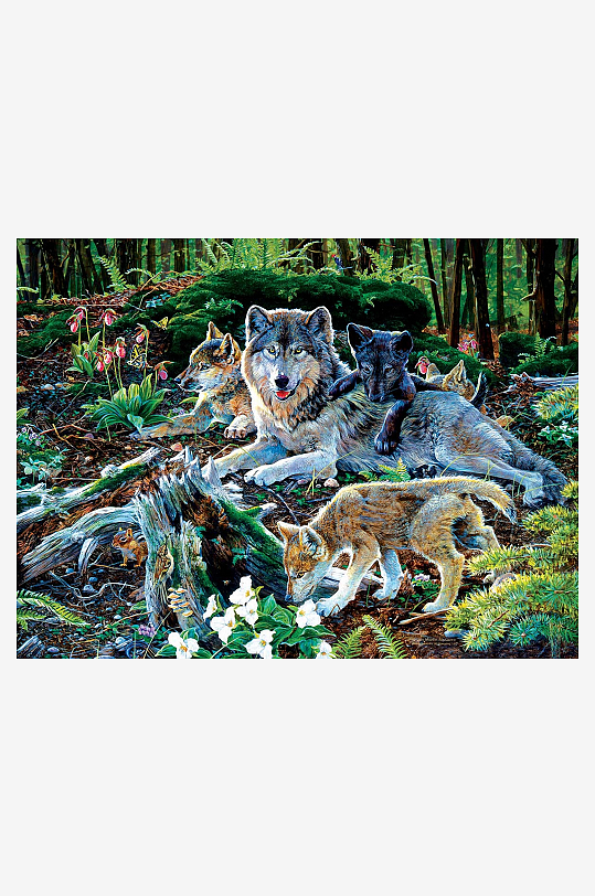 狼群林间休憩温馨画面-众图网