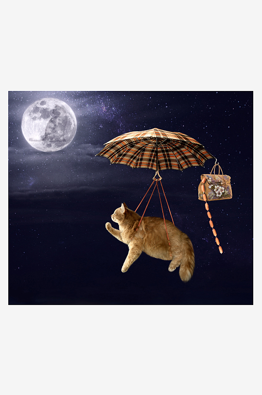 猫咪乘伞夜空飘浮奇景-众图网