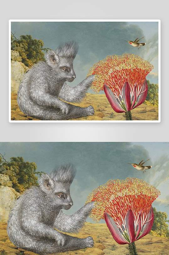 猴类触碰奇异花朵与飞鸟-众图网