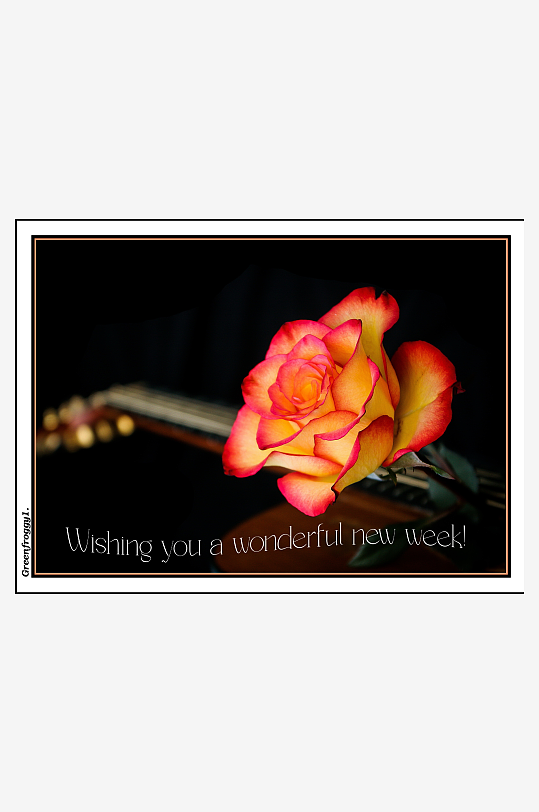 玫瑰花与吉他背景的祝福卡片-众图网