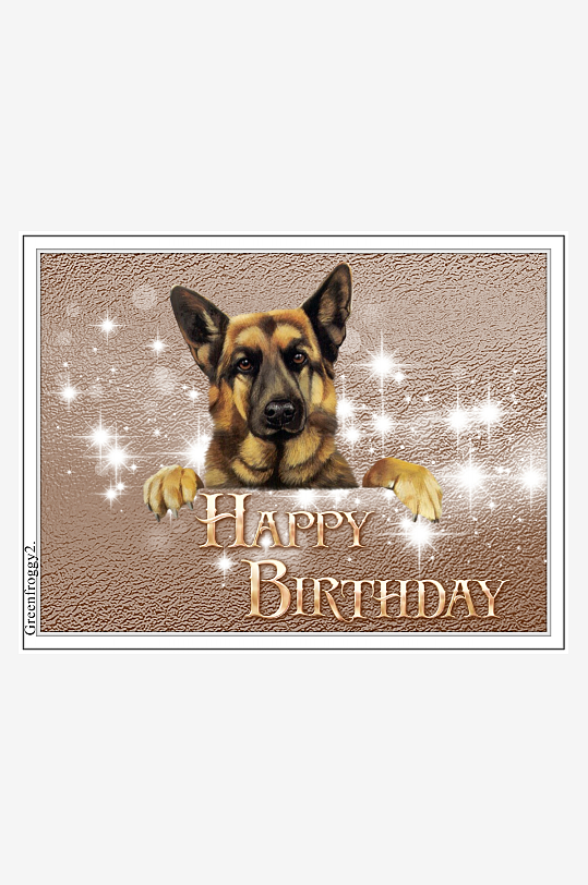 生日贺卡上的德国牧羊犬-众图网