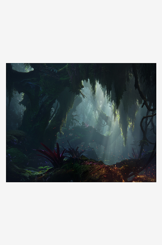 神秘森林光影交错生机盎然-众图网