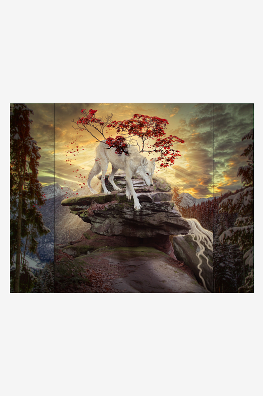 白狼立于山巅红叶纷飞-众图网