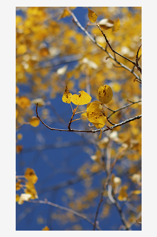 自然风光摄影作品优选-众图网