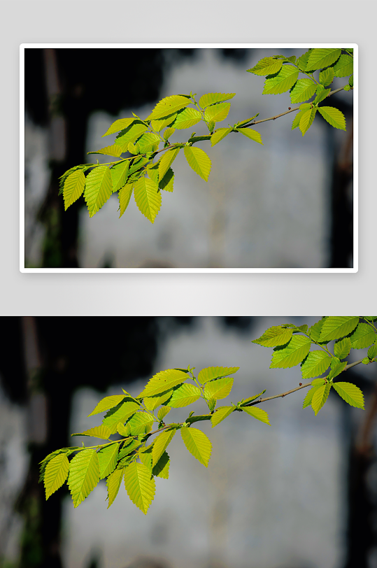 自然风光摄影作品优选-众图网