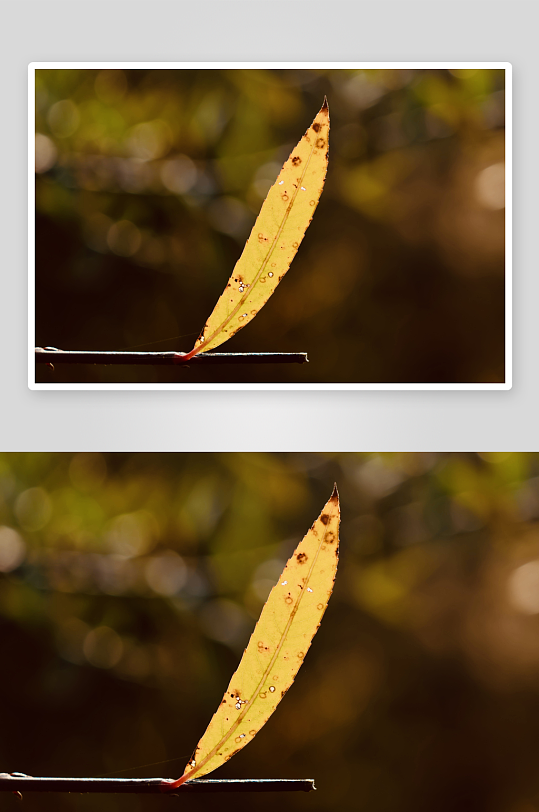 自然风光摄影作品优选-众图网