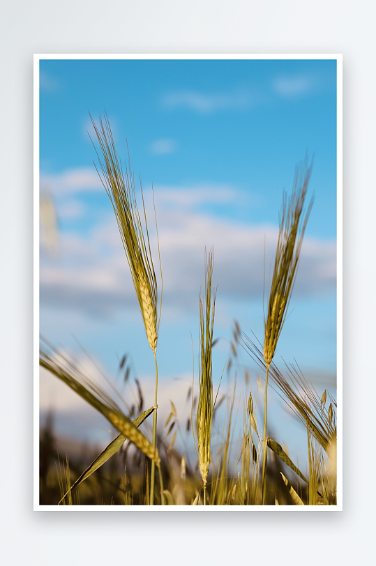 自然风光摄影作品-众图网