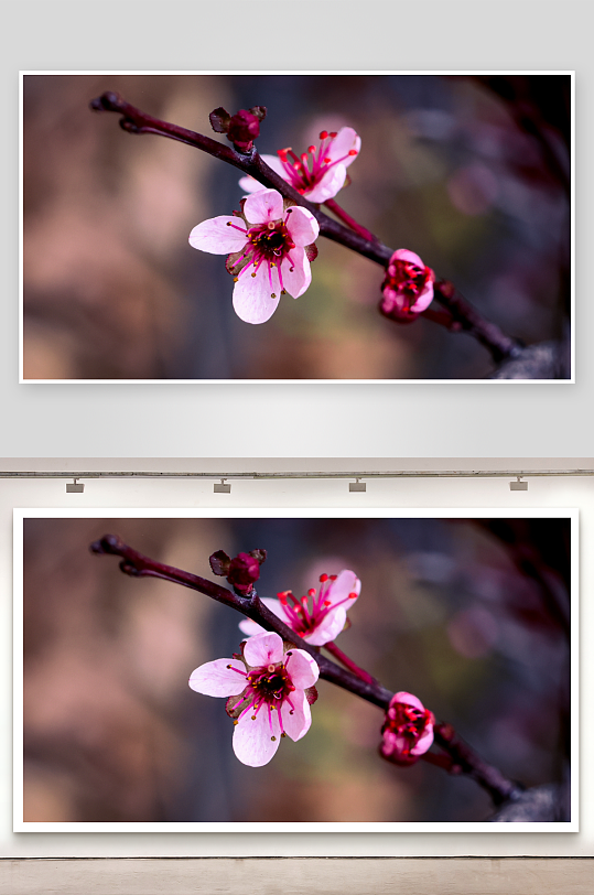 自然风光摄影作品-众图网