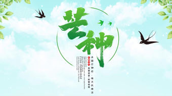 芒种二十四节气AE模板-众图网