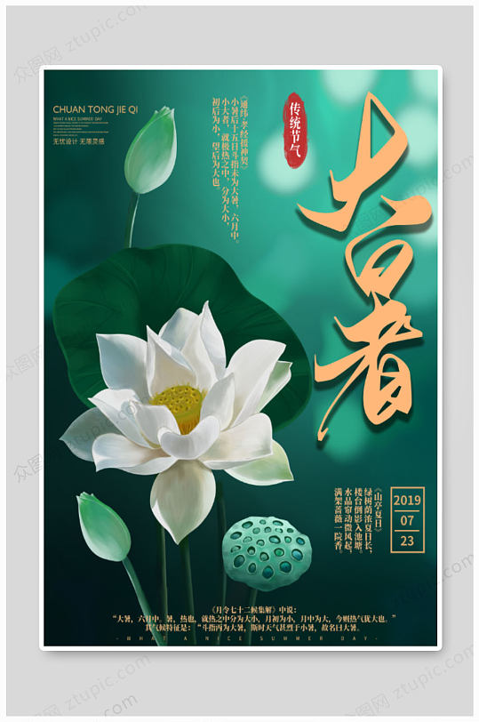 大暑荷花荷叶海报