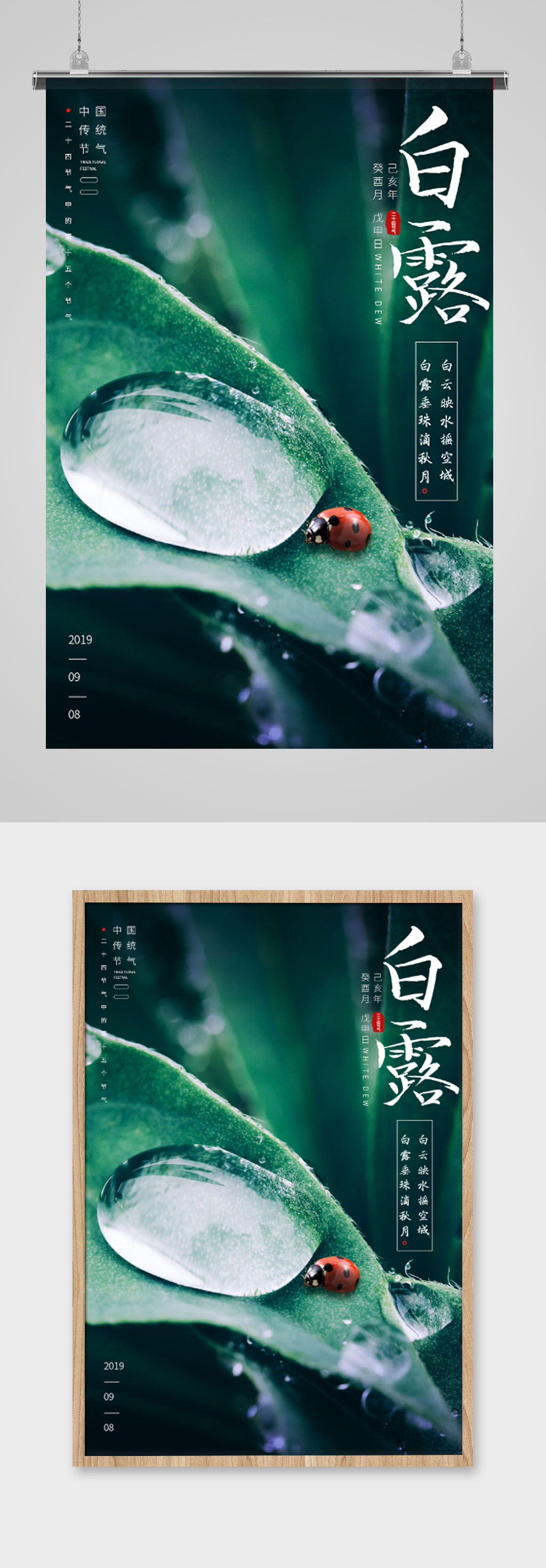 白露简约大气海报素材