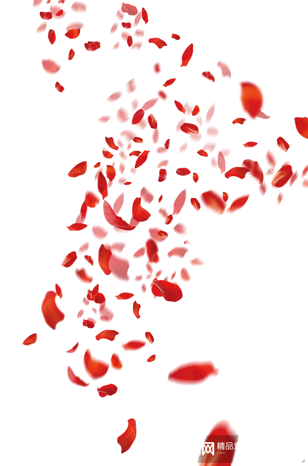 花朵花瓣飘下玫瑰花