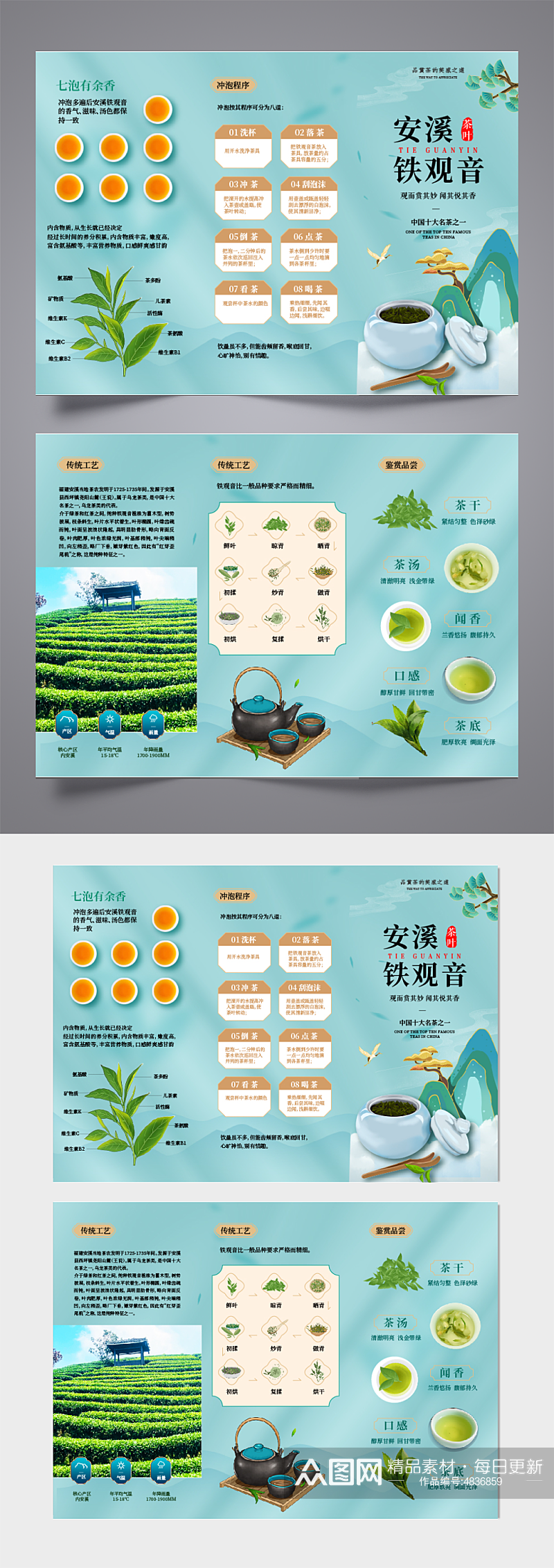 铁观音茶文化茶叶三折页素材