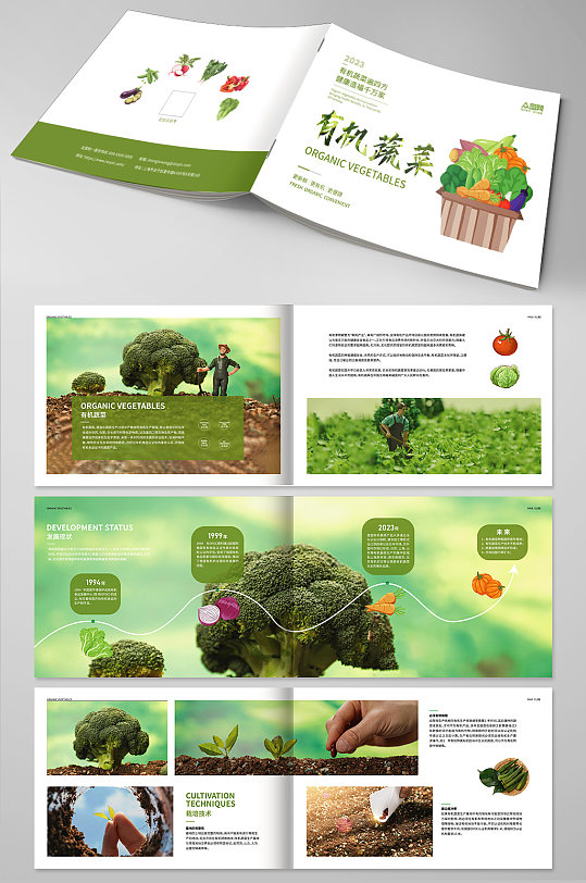 简约有机蔬菜种植农产品宣传册农业画册