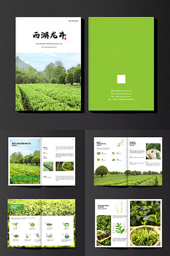 绿色茶园采茶项目茶叶茶文化宣传画册