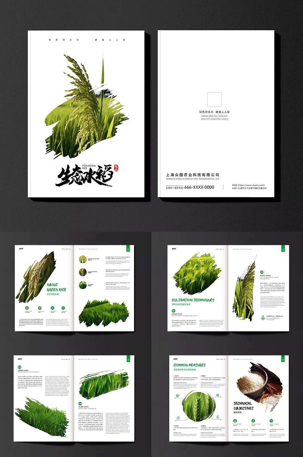 水稻绿色农业农产品宣传纪念袁隆平画册素材